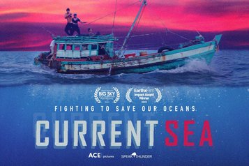 Current Sea