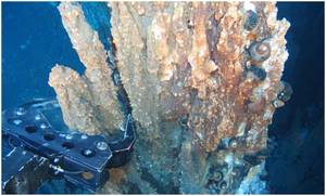 Exploration durch Nautilus. Die Massivsulfide auf dem Meeresboden sind eine potentielle Quelle von Gold, Zink, Kupfer und Silber (Foto: Nautilus, Quelle: The Guardian, 1. Januar 2013)