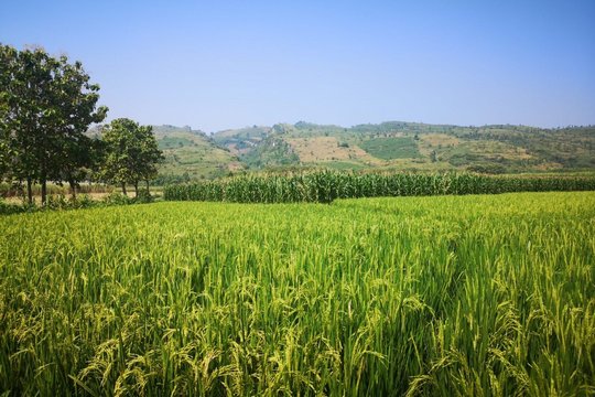 Kendeng-Karstgebirge