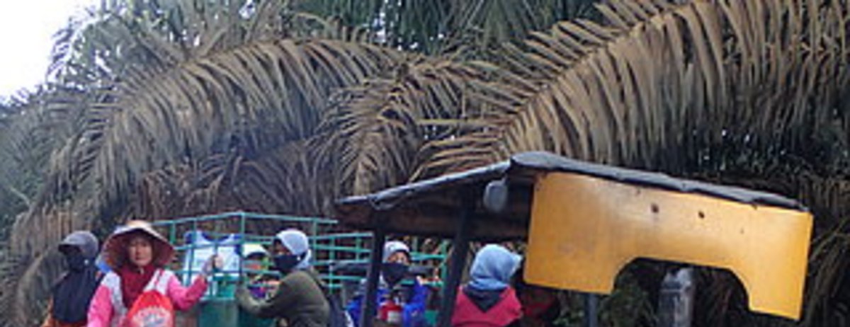 Arbeiterinnen in Palmölindustrie